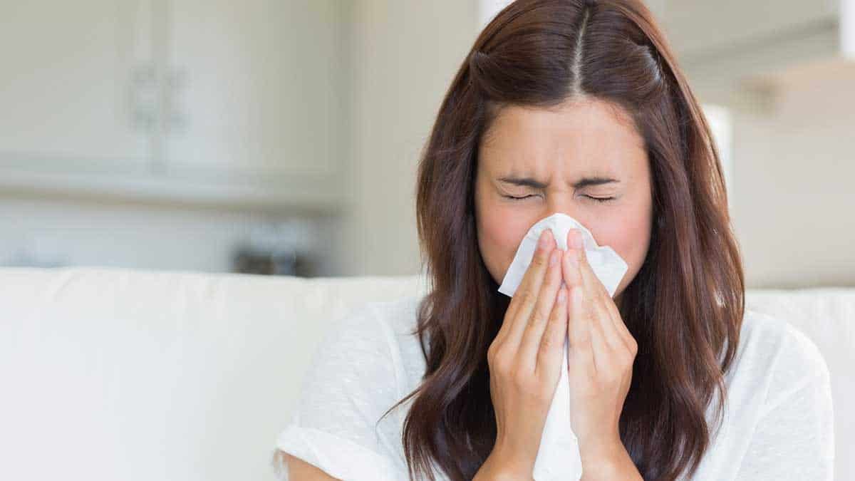 Does An Air Conditioner Help Or Hinder During Allergy Season?