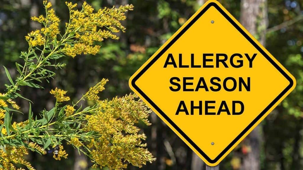 Reduce Spring Allergies